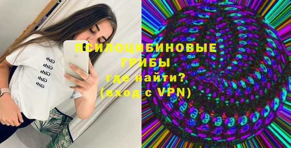 дурь Гусь-Хрустальный