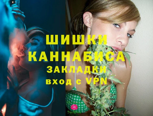 трава Гусев