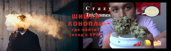 трава Гусев