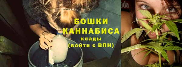 трава Гусев