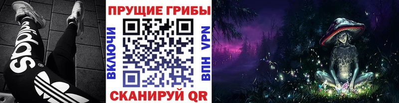 площадка состав  Зуевка  Галлюциногенные грибы MAGIC MUSHROOMS 